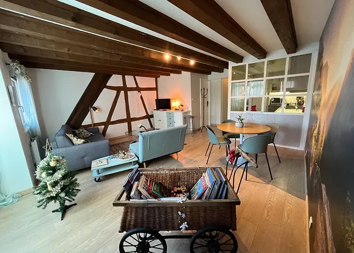 Appartement Colombages De La Lauch Colmar