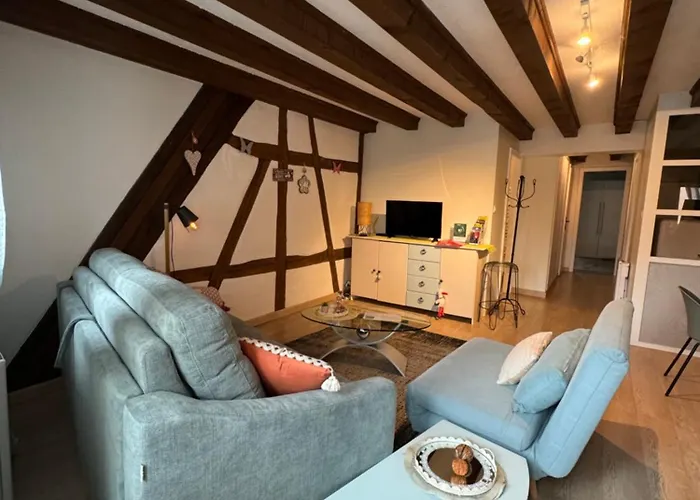 Appartement Colombages De La Lauch Colmar